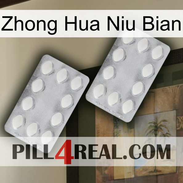 Zhong Hua Niu Bian 17